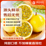 趣尝鲜国产钦蜜9号黄金百香果 16粒 单果70-90g 尝鲜装 源头直发