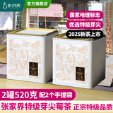 叶芽美年货张家界莓茶特级节日送礼盒茶叶礼品龙须嫩芽尖藤茶霉茶富硒 特级野生芽尖莓茶【配2个手提袋】 260g*2罐