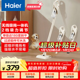 海尔（Haier）无线吸拖一体吸尘器家用车用轻量宠物便携式除尘机大功率大吸力干吸湿拖多用随手吸Q49W新年好礼