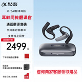 科大讯飞AI翻译耳机 同声传译翻译神器 通话实时会议翻译录音 随身出国 面对面翻译 蓝牙降噪无线会议耳机
