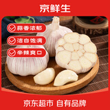 京鲜生山东金乡大蒜带皮新鲜干蒜 净重带箱2斤单果5-5.5cm 源头直发包邮