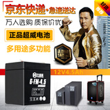 超威（CHILWEE）电瓶12V4.5Ah卷闸门安防消防电梯音响12V玩具童车UPS备用蓄电池