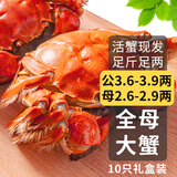 【活蟹】乾澄大闸蟹现货 公蟹3.6两母蟹2.6两 10只5对 鲜活螃蟹河蟹海鲜礼盒源头直发