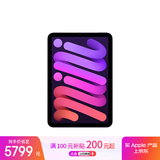 Apple/苹果 iPad mini (A17 Pro) 8.3英寸 平板电脑(512G WLAN版/mini7/MYH33CH/A)紫色
