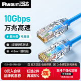 泛达 泛达超六类细网线CAT6A类跳线家用电脑宽带POE监控万兆高速成品线 经典蓝 20米