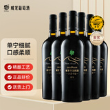 威龙沙漠奇迹干红葡萄酒750ml*6瓶整箱甘肃国产红酒礼品