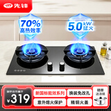 先锋（SINGFUN） 燃气灶超一级能效70%高热效率家用双灶天然气液化气煤气大火力灶具台嵌两用猛火炉灶 液化气|钢盖款 R210