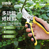 安赛瑞 修枝剪园艺剪刀 修花果树剪园林工具剪 25003