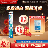 云南白药基础系列多效净白软毛牙刷 高密立体植毛多面清洁 成人 单支装