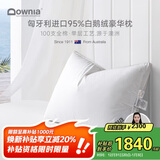Downia枕芯 匈牙利进口95%白鹅绒羽绒枕 100支五星级酒店枕头74*48CM