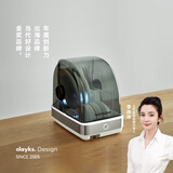 olayks立时 消毒柜 家用台式消毒碗柜 小型碗筷婴儿奶瓶紫外线烘干消毒保洁柜免沥水消毒器 【政府补贴】 一星级 22L 【紫外+烘干】母婴/茶具适用