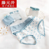 藤元井1/2条女士内裤日系风蓝白小花少女中腰三角裤内衣女学生底裤 雾蓝格子女内裤2条 L 码（80-130斤）