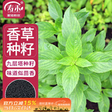 寿禾 九层塔种子苗罗勒可食用香料香草种籽 潍丰埋香九层塔种子2000粒