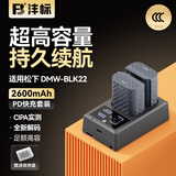 沣标（FB）DMW-BLK22松下S9微单相机锂电池S5二代DC-S5M2X GH5M2 GH6 GH7座充充电器备用电源配件通用BLF19E 【2电双充】电池*2+液晶快充（2600mAh）