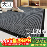 大江入户地垫脚垫进户门2025年新款门垫玄关地毯门口入户60x90cm