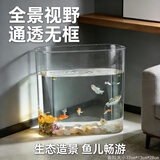 宠街坊鱼缸一体缸造景生态小鱼缸桌面水族箱金鱼斗鱼PET透明鱼缸送礼