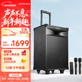 漫步者（EDIFIER）PW312 12英寸舞台户外移动音箱 高保真音响广场舞ktv露营电木吉他民谣乐器音箱