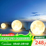 大观园（DGY）月球灯庭院灯氛围感户外灯防水落地灯月亮草坪氛围灯中山灯具378O 9876-50cm【户外月球灯】暖光