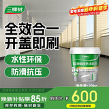 三棵树漆（SKSHU）水性环氧地坪漆 耐磨车间水泥地面漆室内外家用地板改造油漆20kg
