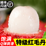 千果娘娘新鲜现摘特级红毛丹新鲜爆甜孕妇毛荔枝南方热带水果A级 散装1斤