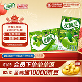 伊利优酸乳原味250ml*24盒 牛奶饮品 新老包装随机发货 年货礼盒装