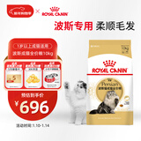 皇家波斯成猫粮 P30 通用粮 12月以上 10KG