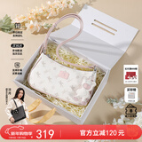纽芝兰（NUCELLE）包包女2026飞马腋下包高级轻奢侈女生包单肩斜挎包本命年生日礼物