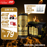 百威黑金啤酒500ml*12听整箱装烈性拉格焦香醇厚京东自营新年送礼
