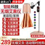 艾点（Ai Dian）艾灸仪器一体机无烟家用理疗仪美容院温灸仪全身用熏蒸仪艾炙烤灯 尊享款（七光渗透+蜂窝聚热+升降调节） M