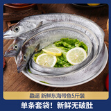 鱻谣东海油带鱼5斤 单条3-4两 整条 鲜带鱼海鲜鱼类