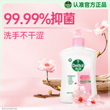 滴露（Dettol）洗手液滋润250g 儿童洗手液抑菌消毒宝宝 水润补充装尝鲜