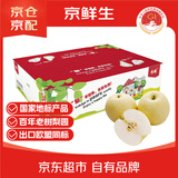 京鲜生 长城老树皇冠梨 净重5斤 单果250g+ 国家地标产品 生鲜水果礼盒