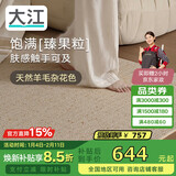 大江大宅标配新西兰羊毛地毯客厅2025新款轻奢高级感家用140x200cm
