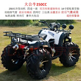 赛普迪沙滩车四轮越野摩托车全地形燃油山地成人四驱摩托车双人沙地ATV 大公牛 250CC水冷/14寸轴传动套餐九动力澎湃