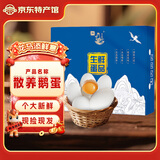 鹤农益得鹅蛋新鲜生鹅蛋农家喂养孕妇蛋生鲜杂粮散养精品礼盒装 12枚 1200g 单枚100g左右