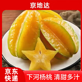京地达福建漳州下河杨桃净重4.5斤装单果150g起 生鲜水果 源头直发包邮