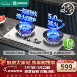 容声国家补贴20%燃气灶液化气煤气灶双灶家用双九腔猛火定时熄火大火力5.0KW灶具一级能效JZY-RLA8Y