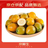 京鲜生 融安金桔/脆蜜金柑小糖豆 净重1斤 单果18g起 生鲜水果