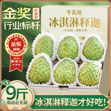 山姆大叔 凤梨牛奶释迦果【JD-多地次日达】番荔枝广西应季新鲜水果礼盒装 【牛乳级】精品果｜单果250-300g 精选果丨3斤【尝鲜-较划算】净2.5