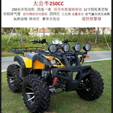 赛普迪沙滩车四轮越野摩托车全地形燃油山地成人四驱/后驱摩托车双人ATV 大公牛 250CC水冷/12寸轴传动套餐八