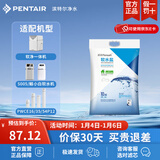 滨特尔（pentair） 滨润软水机高纯度高效通用软水盐离子交换树脂再生剂 1袋盐10kg