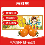 京鲜生电白黄千禧金蜜黄圣女果3斤单果6g+ 年货礼盒新鲜蔬菜 源头直发