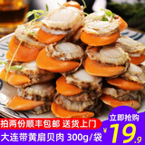 海唤 冷冻特大带黄扇贝肉 大连扇贝肉 大帆立贝肉 净重300g 袋装  火锅烧烤食材
