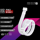 首席玩家（1st player）FM2附魔强流线显卡12V-2X6电源线ATX3编织定制线PCIE5转接16AWG模组线5090 【强流线】【双90度角】编织模组线 全白