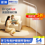 ARROW箭牌  大路灯落地灯护眼学习灯床头灯钢琴灯台灯立式书房灯