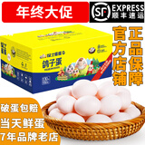 保卫蛋蛋新鲜鸽子蛋农家孕妇宝宝杂粮喂养送礼礼盒年货节礼盒送礼 店长推荐丨鸽子蛋60枚（1100g）