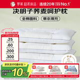 罗莱家纺 枕头枕芯脊椎枕 100%全棉决明子荞麦花草护颈枕 46*72