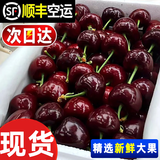 采缇进口美国车厘子5kg4j大樱桃生鲜次日达樱桃新鲜水果当季时令整 1斤(净重)  一斤装 4J 32mm(含)-34mm(不含）