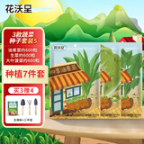 花沃里3款蔬菜种子套装5 油麦菜生菜籽大叶菠菜种子园艺种植7件套送肥料