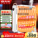 先锋（SINGFUN）取暖器家用取暖电器电暖器电暖气片烤火炉油丁17片热浪油汀电暖炉智能款YY1R